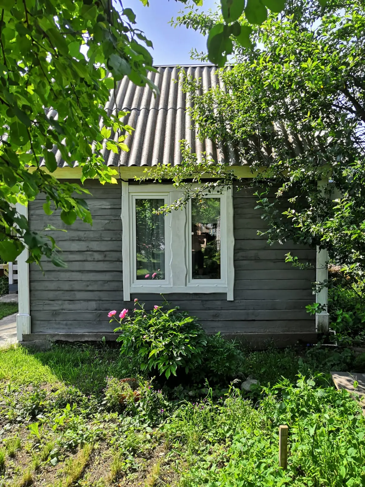 Фото номера