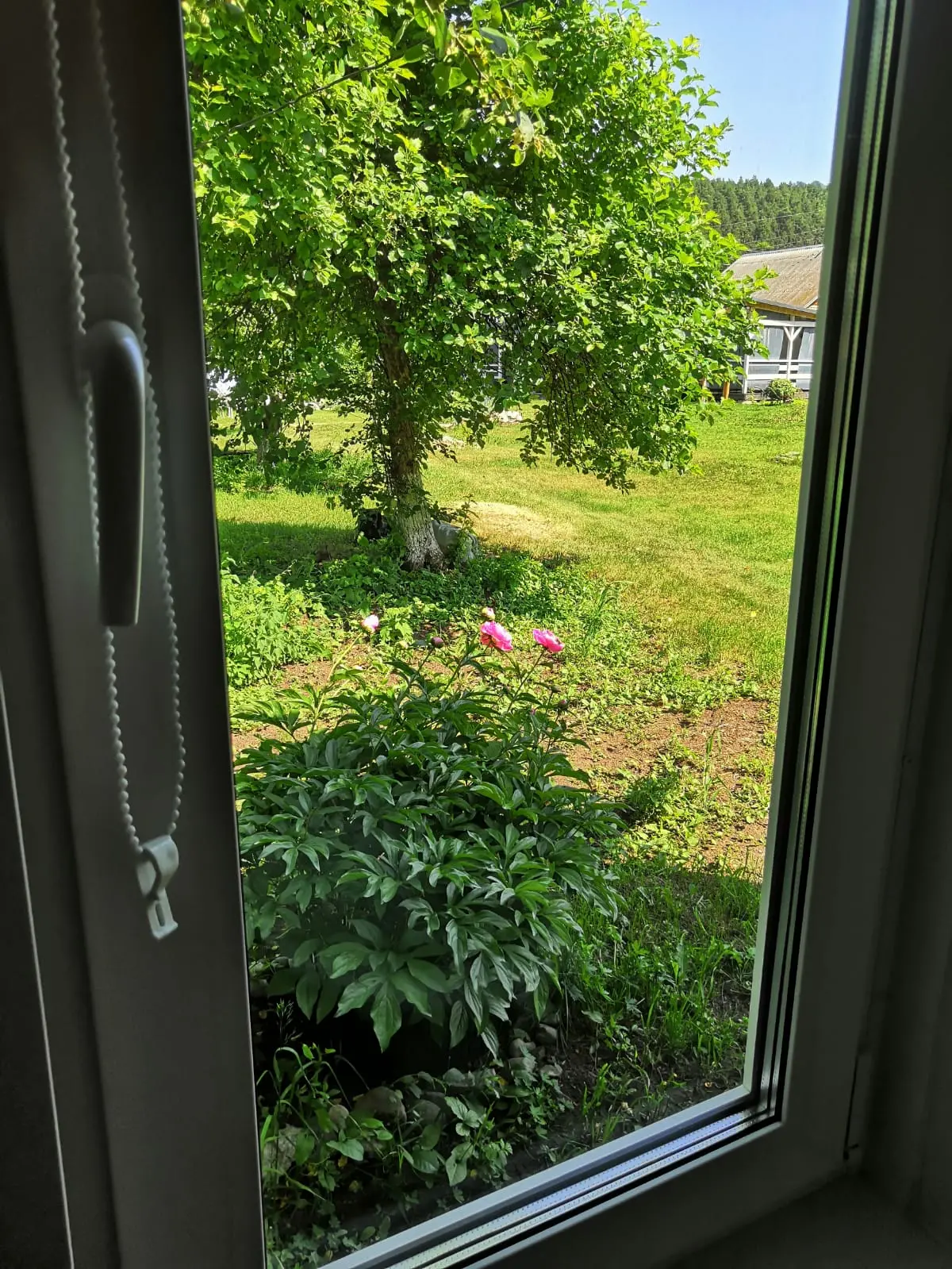 Фото номера